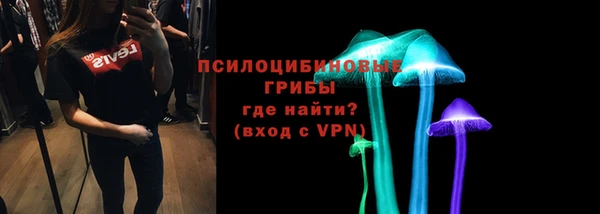 метадон Новодвинск