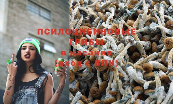 герыч Ростов