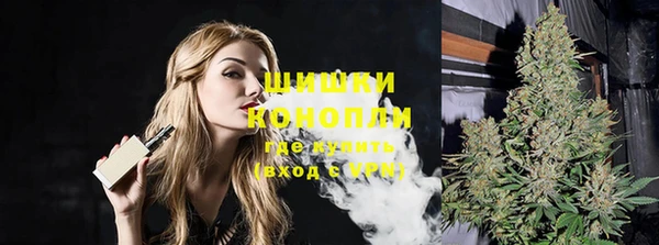 метадон Новодвинск